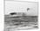 USS Lexington's Crew Diving into Sea-null-Mounted Photographic Print