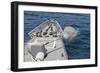 Uss Philippine Sea Fires its Mk-45 Lightweight Gun-null-Framed Photographic Print