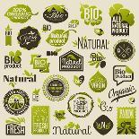 Natural Organic Product Labels, Emblems and Badges. Set of Vector Design Elements-ussr-Framed Art Print