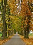 Benediktbeuern, Autumn-Uta Horst-Framed Stretched Canvas