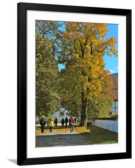 Premium Photographic Print, , large