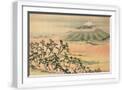 White Frame