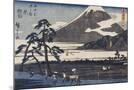 Wood Mount