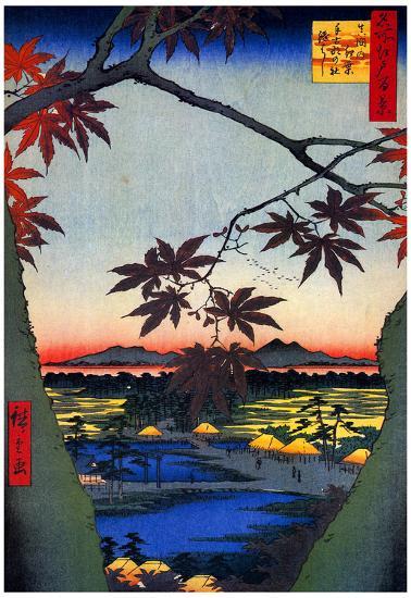 Poster, , large
