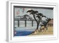 White Frame