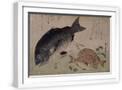 White Frame