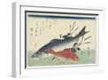 White Frame