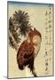 Utagawa Hiroshige Small Brown Owl on a Pine Branch-null-Mounted Poster