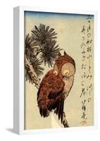 Utagawa Hiroshige Small Brown Owl on a Pine Branch-null-Framed Poster