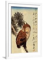 Utagawa Hiroshige Small Brown Owl on a Pine Branch-Ando Hiroshige-Framed Art Print
