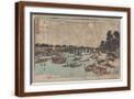 Brown Frame