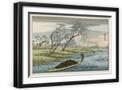 Black Frame