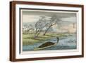 Brown Frame