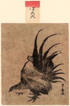 Niwatori, Chicken. [Between 1804 and 1818], 1 Print : Woodcut, Color ; 17.2 X 11.4