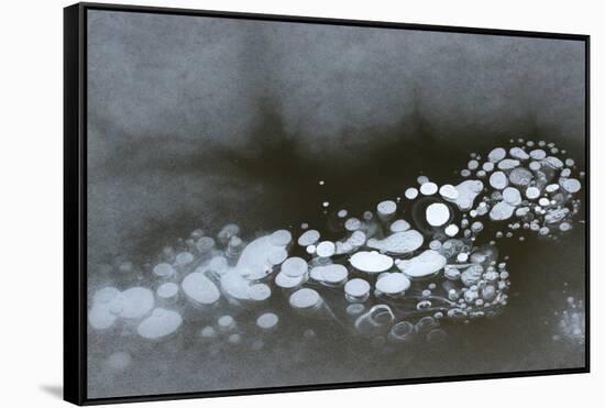 Utah. Abstract Design Formed by Frozen Ice Bubbles in Courthouse Wash, Arches National Park-Judith Zimmerman-Framed Stretched Canvas