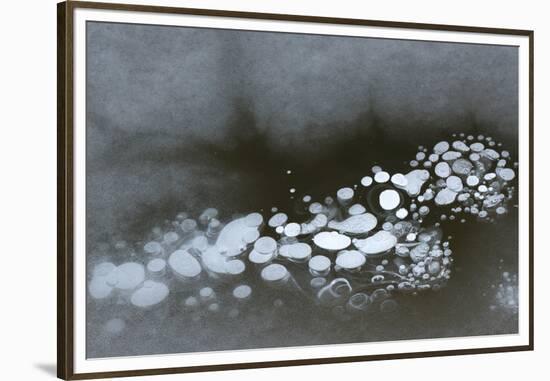 Utah. Abstract Design Formed by Frozen Ice Bubbles in Courthouse Wash, Arches National Park-Judith Zimmerman-Framed Premium Photographic Print
