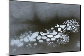 Utah. Abstract Design Formed by Frozen Ice Bubbles in Courthouse Wash, Arches National Park-Judith Zimmerman-Mounted Photographic Print
