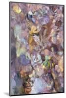 Utah. Abstract Design Formed by Water Rushing over Colorful River Rocks in Hunter Canyon, Moab-Judith Zimmerman-Mounted Photographic Print