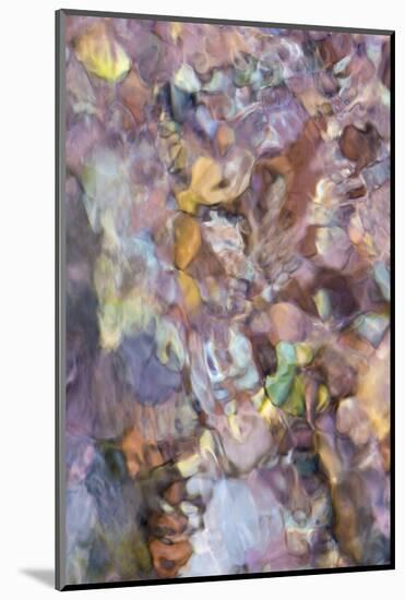 Utah. Abstract Design Formed by Water Rushing over Colorful River Rocks in Hunter Canyon, Moab-Judith Zimmerman-Mounted Photographic Print