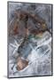 Utah. Abstract Design of Frozen Ice Patterns and Aspen Leaf in Stream, Hunter Canyon, Near Moab-Judith Zimmerman-Mounted Photographic Print