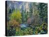 Utah. Along Logan River in Autumn. Logan Canyon. Uinta-Wasatch-Cache-Scott T^ Smith-Stretched Canvas