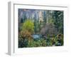 Utah. Along Logan River in Autumn. Logan Canyon. Uinta-Wasatch-Cache-Scott T^ Smith-Framed Photographic Print