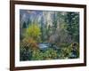 Utah. Along Logan River in Autumn. Logan Canyon. Uinta-Wasatch-Cache-Scott T^ Smith-Framed Photographic Print