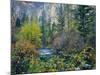 Utah. Along Logan River in Autumn. Logan Canyon. Uinta-Wasatch-Cache-Scott T^ Smith-Mounted Photographic Print