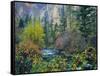 Utah. Along Logan River in Autumn. Logan Canyon. Uinta-Wasatch-Cache-Scott T^ Smith-Framed Stretched Canvas