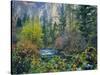 Utah. Along Logan River in Autumn. Logan Canyon. Uinta-Wasatch-Cache-Scott T^ Smith-Stretched Canvas