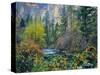 Utah. Along Logan River in Autumn. Logan Canyon. Uinta-Wasatch-Cache-Scott T^ Smith-Stretched Canvas