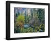 Utah. Along Logan River in Autumn. Logan Canyon. Uinta-Wasatch-Cache-Scott T^ Smith-Framed Photographic Print