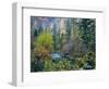 Utah. Along Logan River in Autumn. Logan Canyon. Uinta-Wasatch-Cache-Scott T^ Smith-Framed Photographic Print