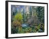 Utah. Along Logan River in Autumn. Logan Canyon. Uinta-Wasatch-Cache-Scott T^ Smith-Framed Photographic Print