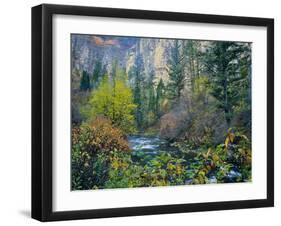 Utah. Along Logan River in Autumn. Logan Canyon. Uinta-Wasatch-Cache-Scott T^ Smith-Framed Premium Photographic Print