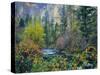 Utah. Along Logan River in Autumn. Logan Canyon. Uinta-Wasatch-Cache-Scott T^ Smith-Stretched Canvas