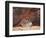 Utah, Arches National Park. an Abstract Sandstone Formation-Christopher Talbot Frank-Framed Photographic Print