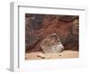 Utah, Arches National Park. an Abstract Sandstone Formation-Christopher Talbot Frank-Framed Photographic Print