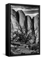 Utah. Arches National Park, Arches National Park-Judith Zimmerman-Framed Stretched Canvas