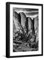 Utah. Arches National Park, Arches National Park-Judith Zimmerman-Framed Photographic Print