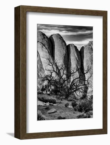 Utah. Arches National Park, Arches National Park-Judith Zimmerman-Framed Photographic Print