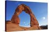 Utah, Arches National Park, Delicate Arch, 65 Ft. 20 M Tall Iconic Landmark-David Wall-Stretched Canvas