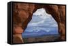 Utah, Arches National Park, Delicate Arch Iconic Landmark of Utah, and La Sal Mts-David Wall-Framed Stretched Canvas