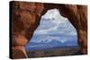 Utah, Arches National Park, Delicate Arch Iconic Landmark of Utah, and La Sal Mts-David Wall-Stretched Canvas