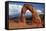 Utah, Arches National Park, Delicate Arch Iconic Landmark of Utah, and Tourists-David Wall-Framed Stretched Canvas