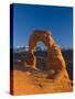 Utah, Arches National Park, Delicate Arch, USA-Alan Copson-Stretched Canvas