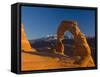 Utah, Arches National Park, Delicate Arch, USA-Alan Copson-Framed Stretched Canvas