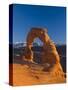 Utah, Arches National Park, Delicate Arch, USA-Alan Copson-Stretched Canvas