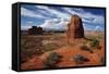Utah, Arches National Park, Rock Formations from La Sal Mountains Viewpoint-David Wall-Framed Stretched Canvas