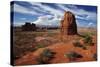 Utah, Arches National Park, Rock Formations from La Sal Mountains Viewpoint-David Wall-Stretched Canvas